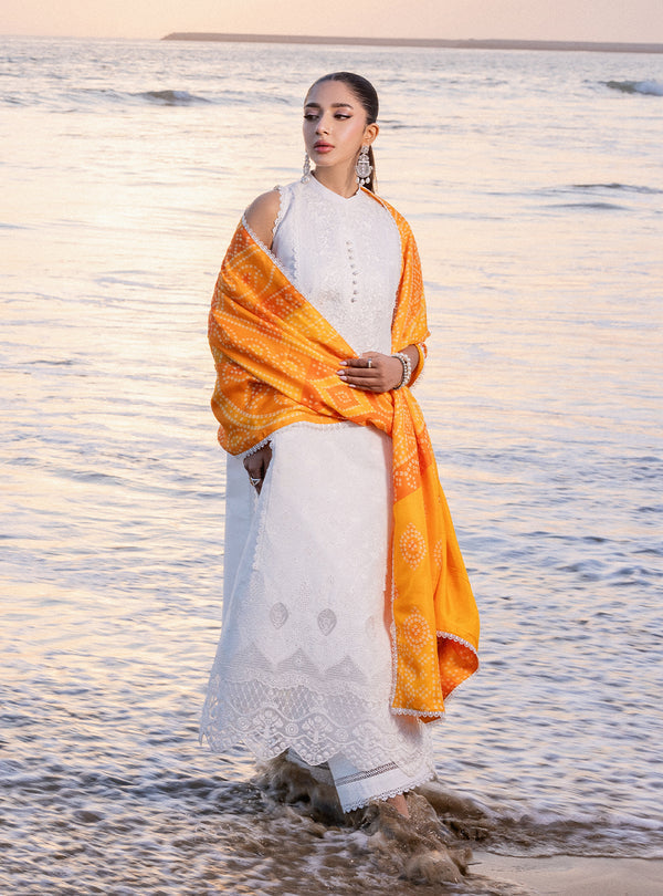 Zainab chottani | Luxury Chikankari 24 | CHUNARI - 3B - House Of Anaya