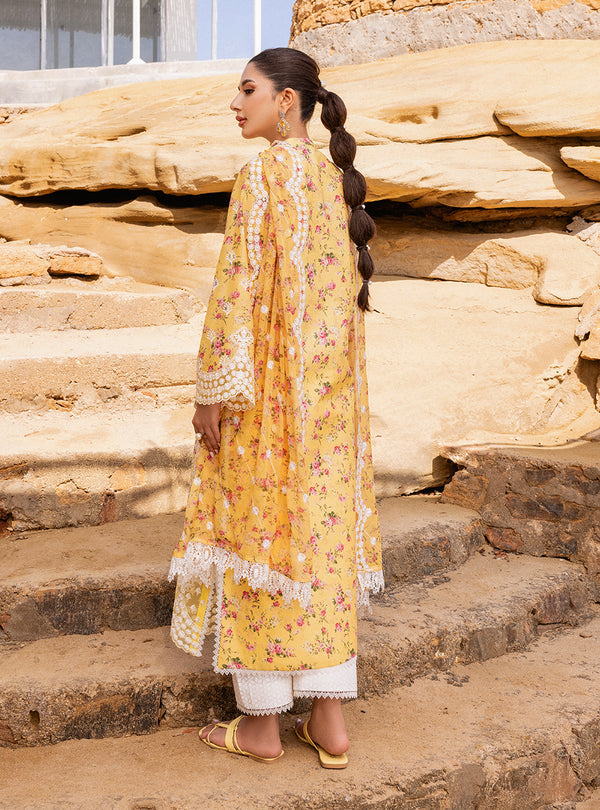 Zainab chottani | Luxury Chikankari 24 | ESME - 9B - House Of Anaya