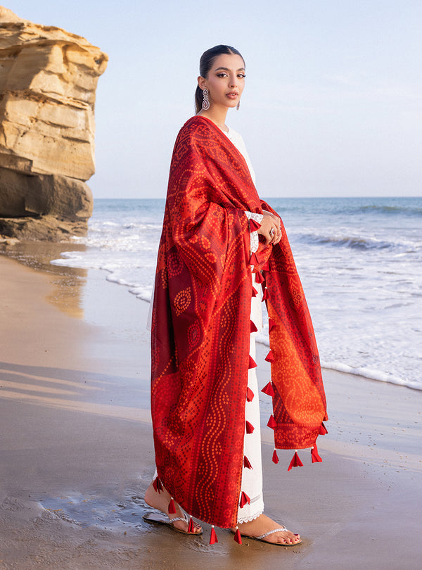 Zainab chottani | Luxury Chikankari 24 | CHUNARI - 3A - House Of Anaya