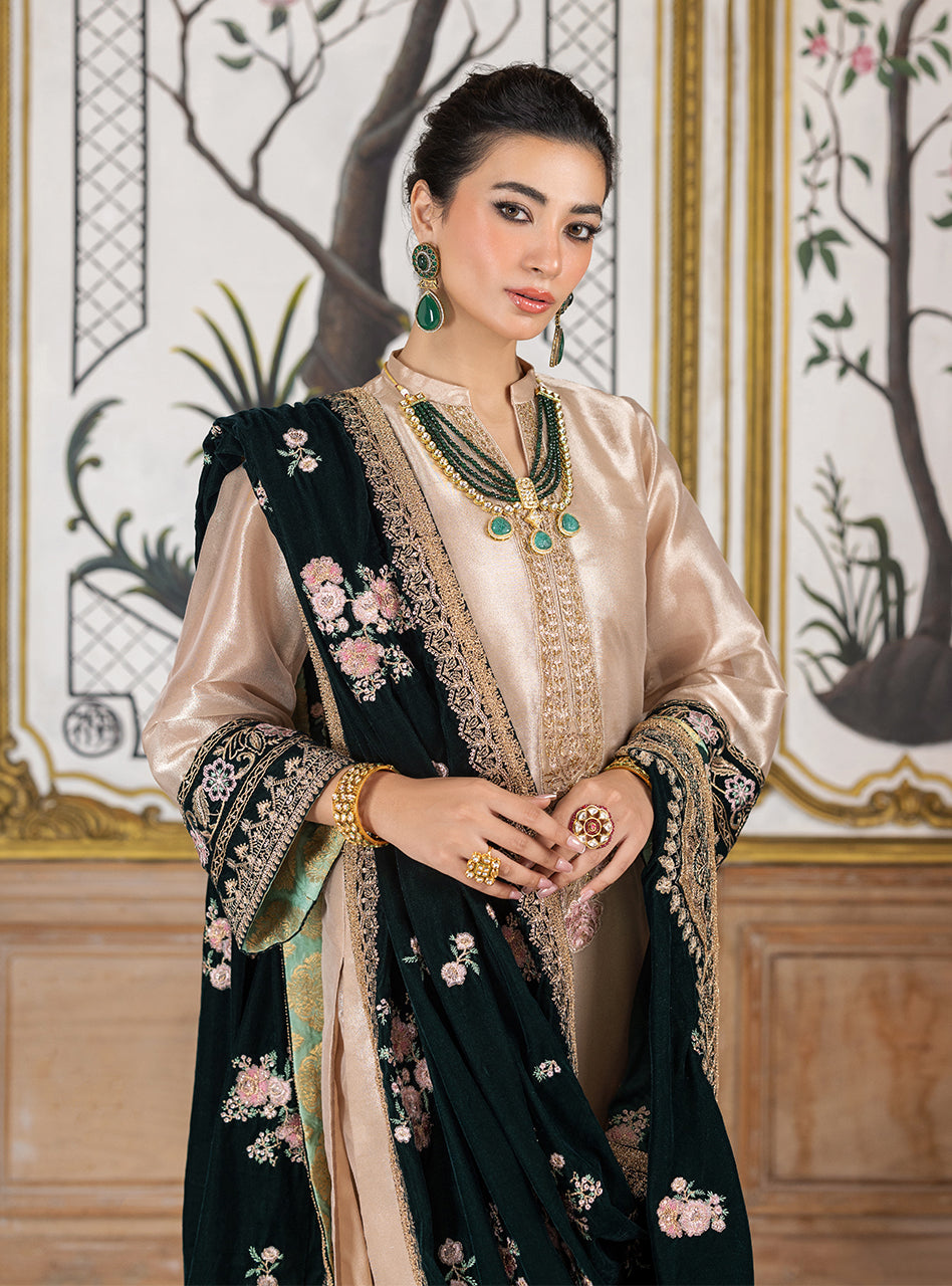 Zainab Chottani | Velvet Formals 24 | Sarwana