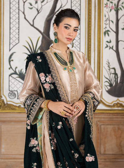 Zainab Chottani | Velvet Formals 24 | Sarwana
