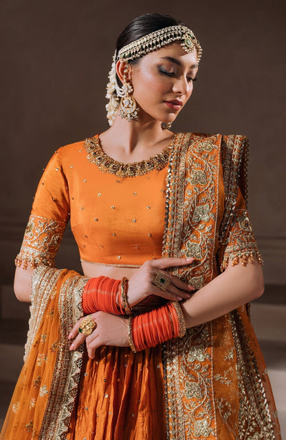 Zevk | Malika Jaan Bridals |  AALAM ZAIB - House Of Anaya