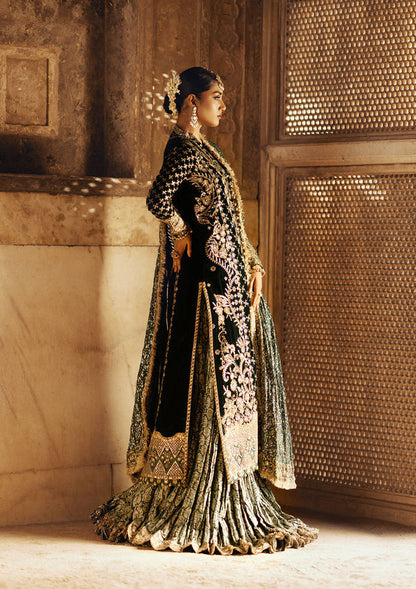 Aik Atelier | Dastoor Velvet 24 | DASTOOR - LOOK 02