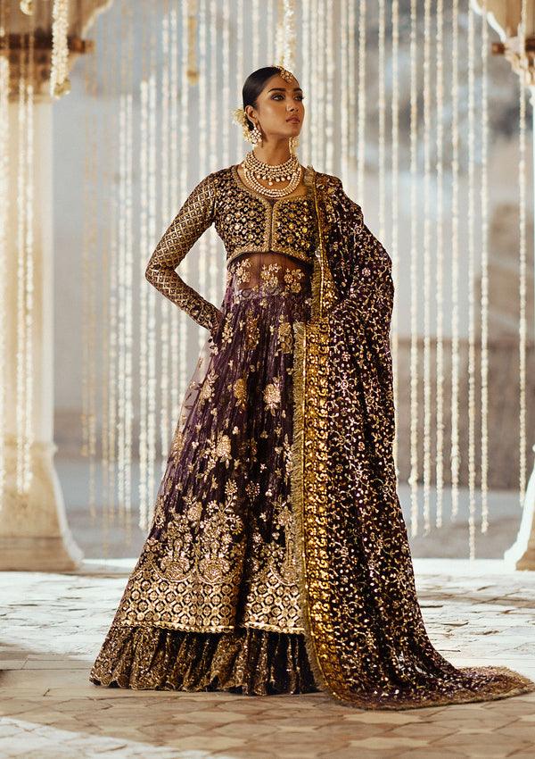 Aik Atelier | Dastoor Velvet 24 | DASTOOR - LOOK 10 - House Of Anaya