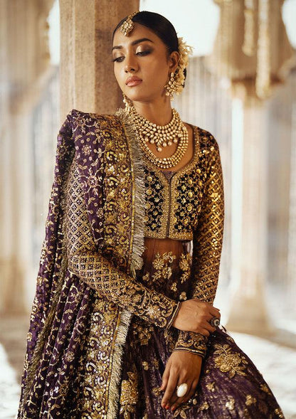 Aik Atelier | Dastoor Velvet 24 | DASTOOR - LOOK 10 - House Of Anaya