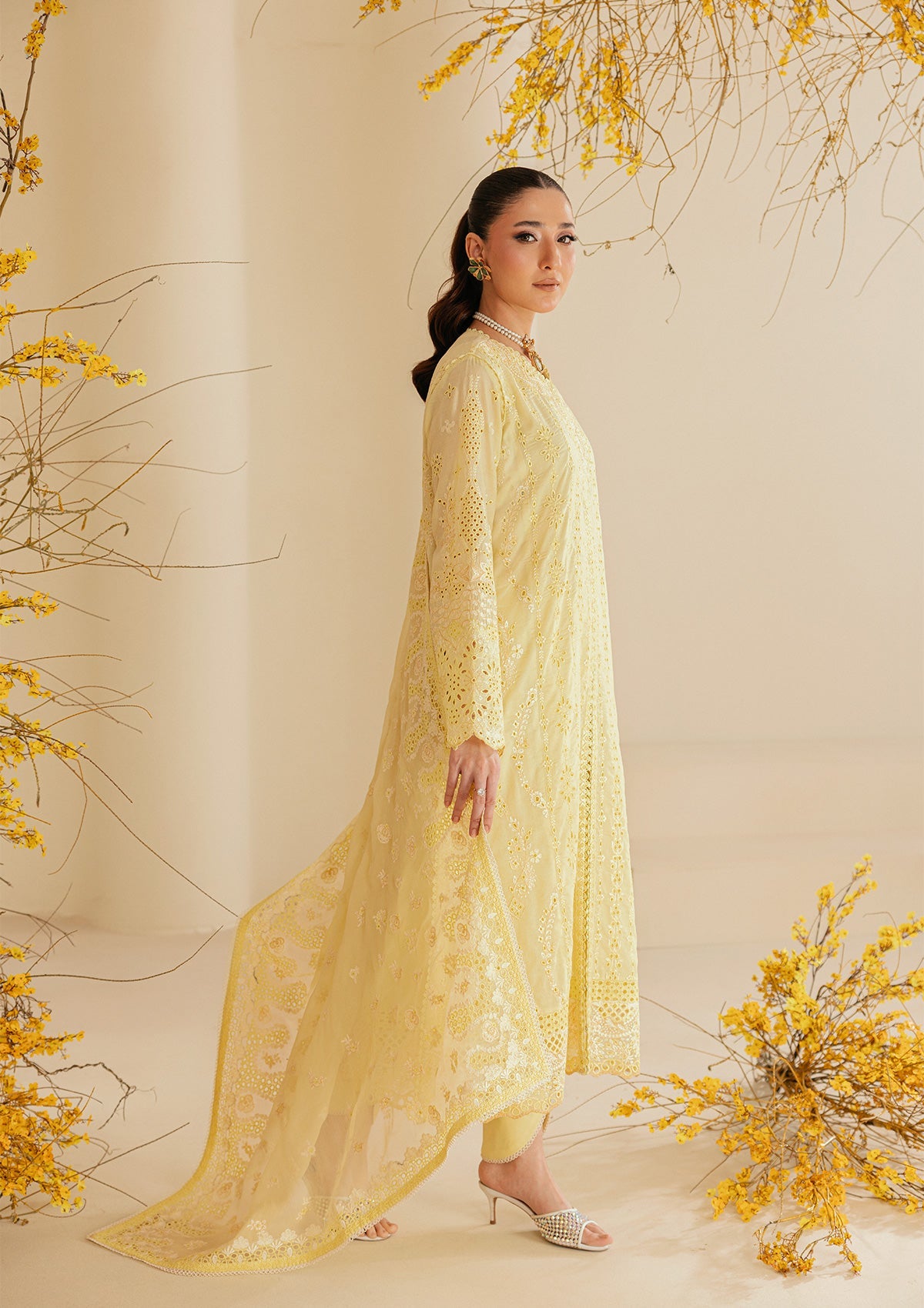 Aik Atelier | Lawn 26 Vol 2 | Look B2604A - 6