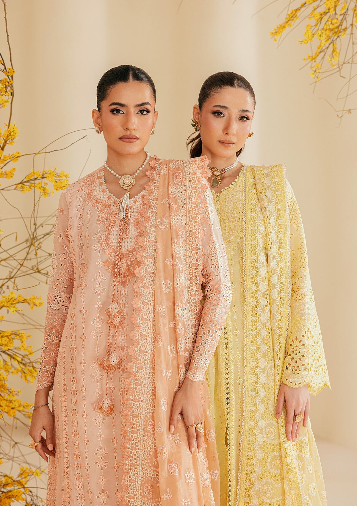 Aik Atelier | Lawn 26 Vol 2 | Look B2604B - 6