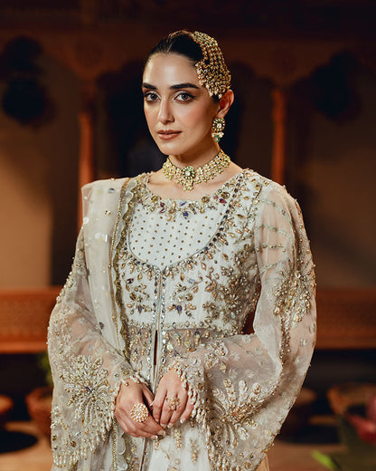 Ain | Naulakha Wedding Festive 24 | AR-141 UFFRAH