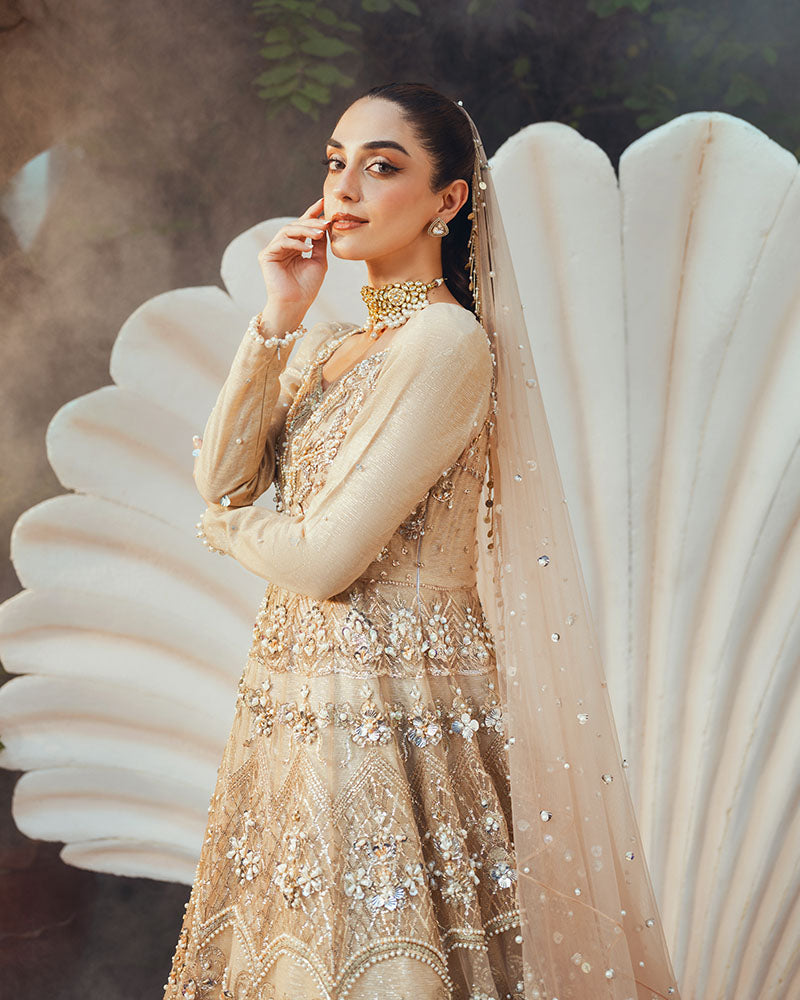 Ain | Naulakha Wedding Festive 24 |  AR-144 SHELL