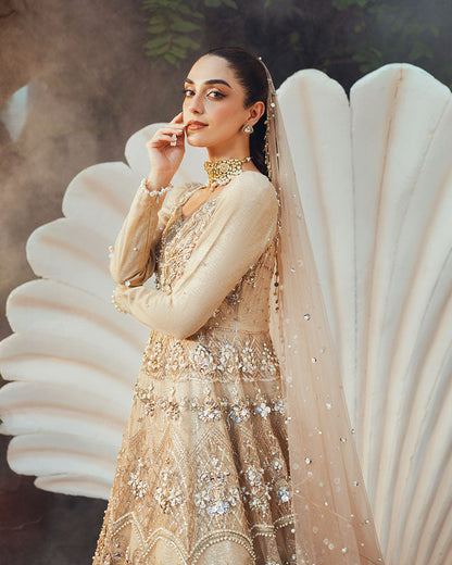 Ain | Naulakha Wedding Festive 24 |  AR-144 SHELL