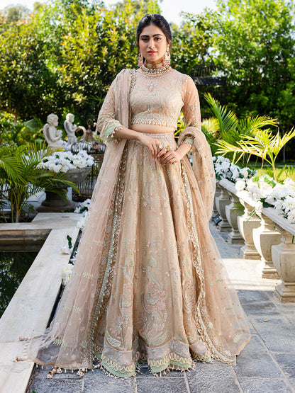 Izel | Heeriye Festive Collection | Jhoom - House Of Anaya