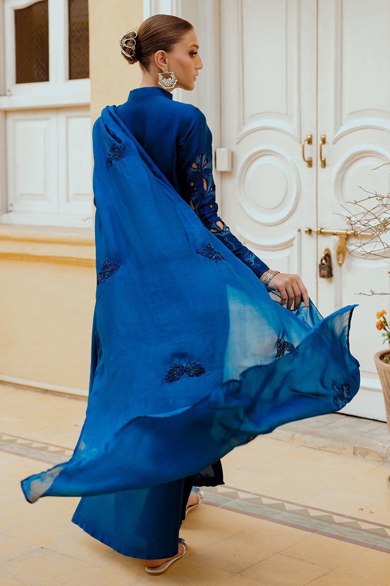 Ansab Jahangir | Luxe Pret Eid 24 | INARA - House Of Anaya