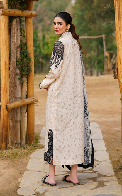 Asifa and Nabeel | Meraki Summer 24 | SNOWDROP-U141M002 - House Of Anaya
