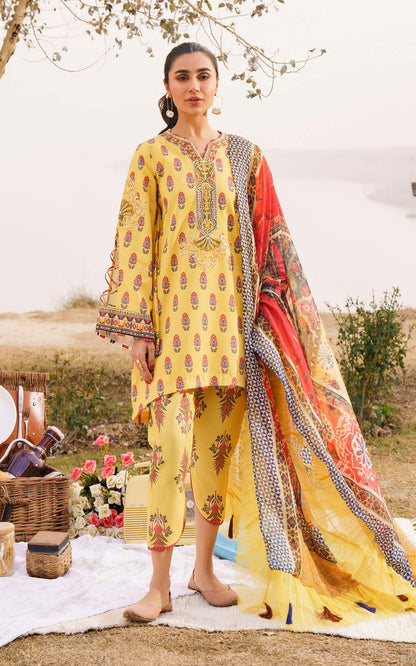 Asifa and Nabeel | Meraki Summer 24 | SONNET-U141M004 - House Of Anaya