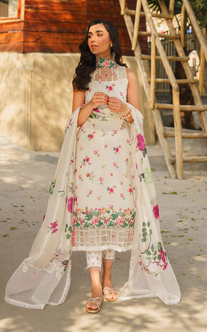 Asifa and Nabeel | Meraki Summer 24 | ASTER-U141M015 - House Of Anaya