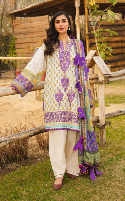 Asifa and Nabeel | Meraki Summer 24 | ALYSSA - House Of Anaya