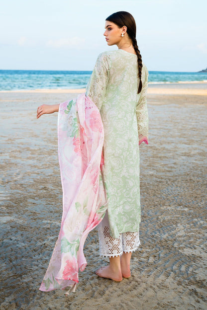 Baroque | Lawn Collection 24 | UF-569 - House Of Anaya