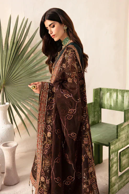 Alizeh | Heer Festive Collection 24 | Hazel - V17D01 - House Of Anaya