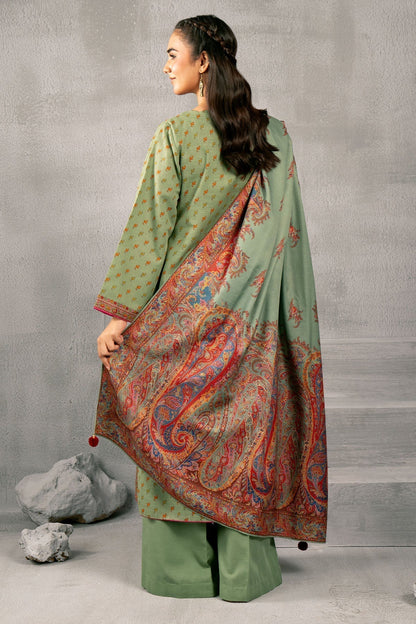 Kayseria | Winter Khaddar 24 | C6055 - House Of Anaya
