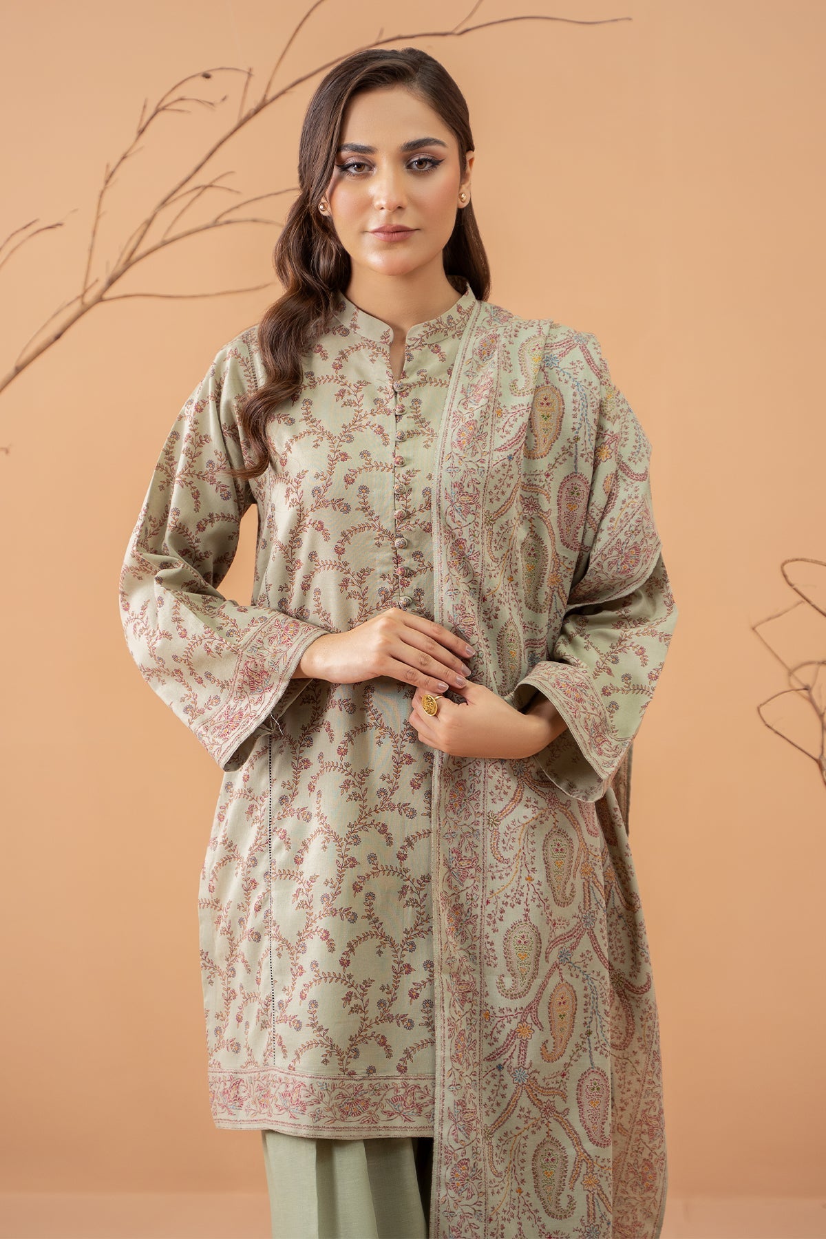 Kayseria | Winter Khaddar 24 | C6045 - House Of Anaya