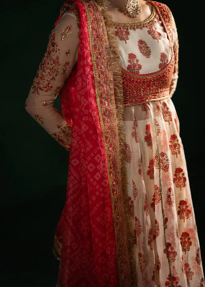 Maria Osama Khan | Jashan | Noor-e-Jashan