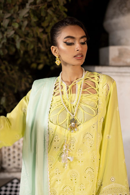 Ittehad | Embroidered Lawn | I-17 - House Of Anaya