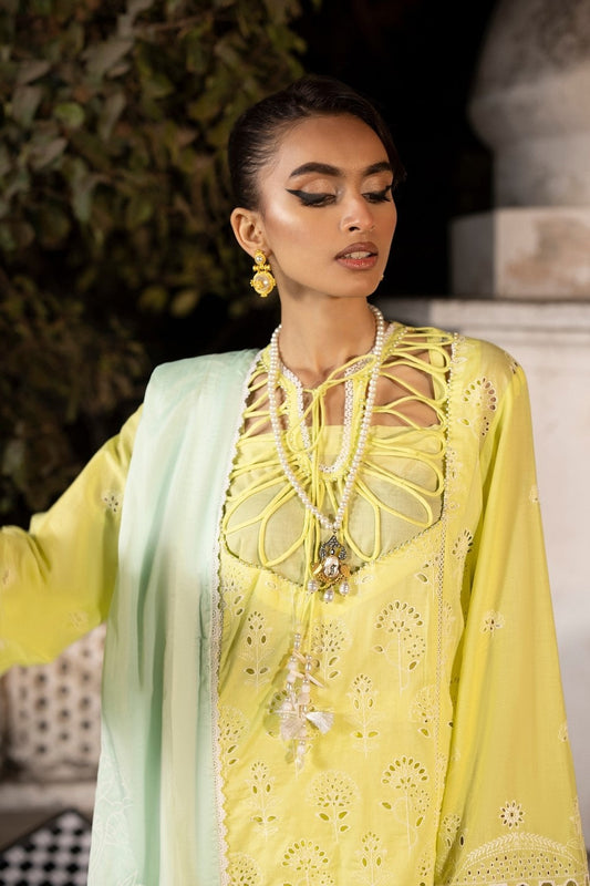 Ittehad | Embroidered Lawn | I-17 - House Of Anaya