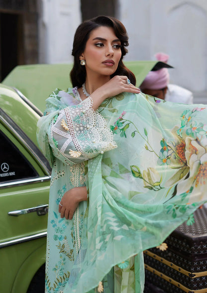 Elaf Premium | Eid Edit 2024 | ELE-11 SIVANA - House Of Anaya
