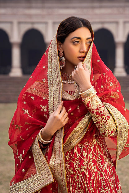 Erum Khan | Shezadian Luxe Formals | CHAND BAI - House Of Anaya