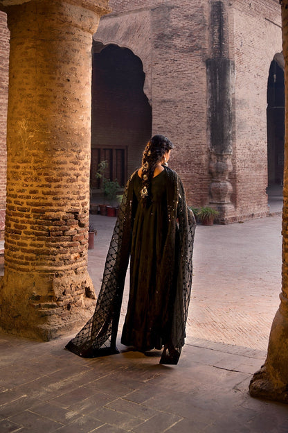 Erum Khan | Shezadian Luxe Formals | Mumtaz - House Of Anaya