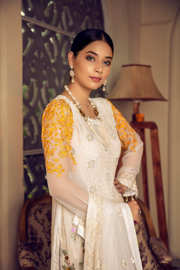 House of Nawab | Luxury Formals | HM-03 - House Of Anaya