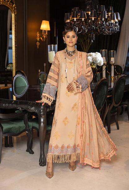Humdum | Charlotte Chikankari Lawn | D10 - House Of Anaya