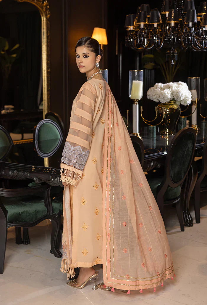 Humdum | Charlotte Chikankari Lawn | D10 - House Of Anaya