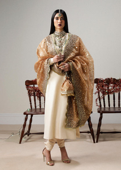 Hussain Rehar | Luxury Formals | Paara - House Of Anaya