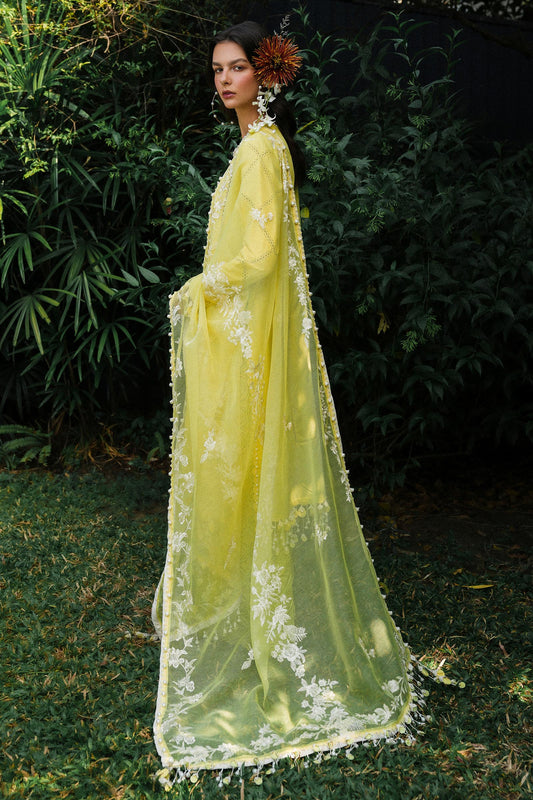 Sana Safinaz | Luxury Lawn 25 | L251-005B-3CT