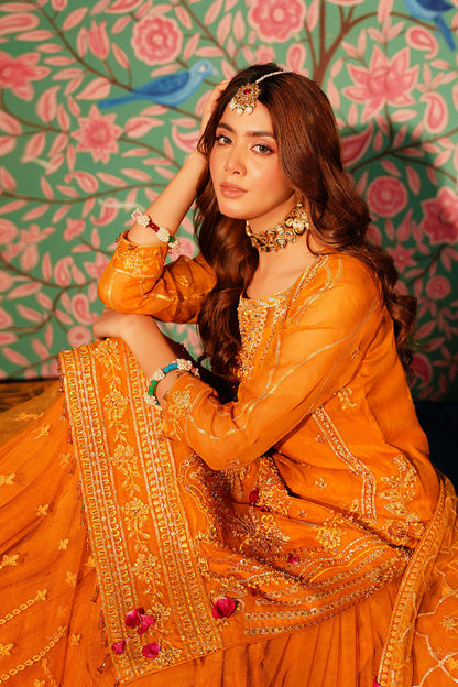 Maryams | Reet Formals | R-104 - House Of Anaya