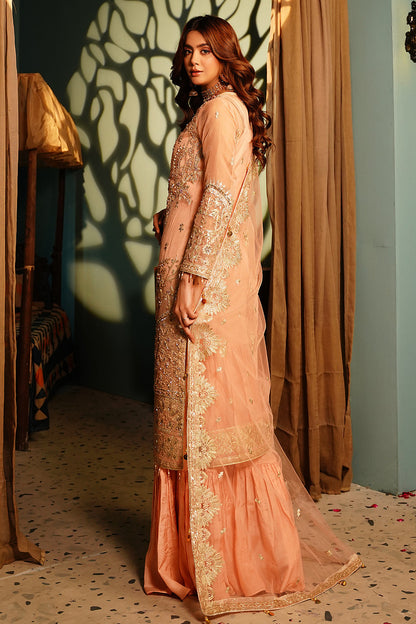 Maryams | Reet Formals | R-102 - House Of Anaya