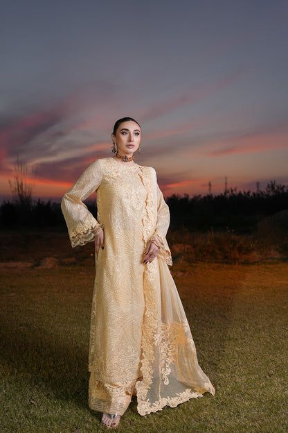 Nilofer Shahid | Verve Summer 24 | Irina  Verve SS 24 - House Of Anaya