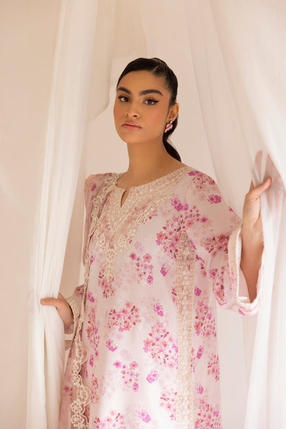 Mohagni | Tulip 25 | PLS-112