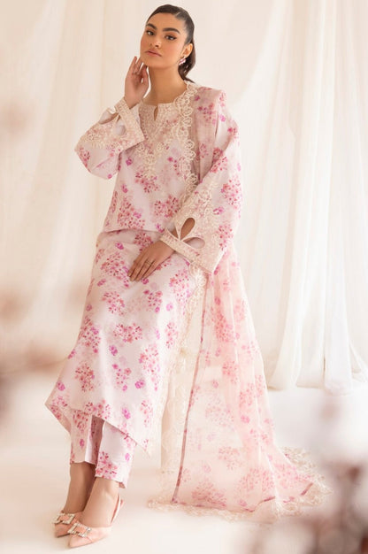Mohagni | Tulip 25 | PLS-112