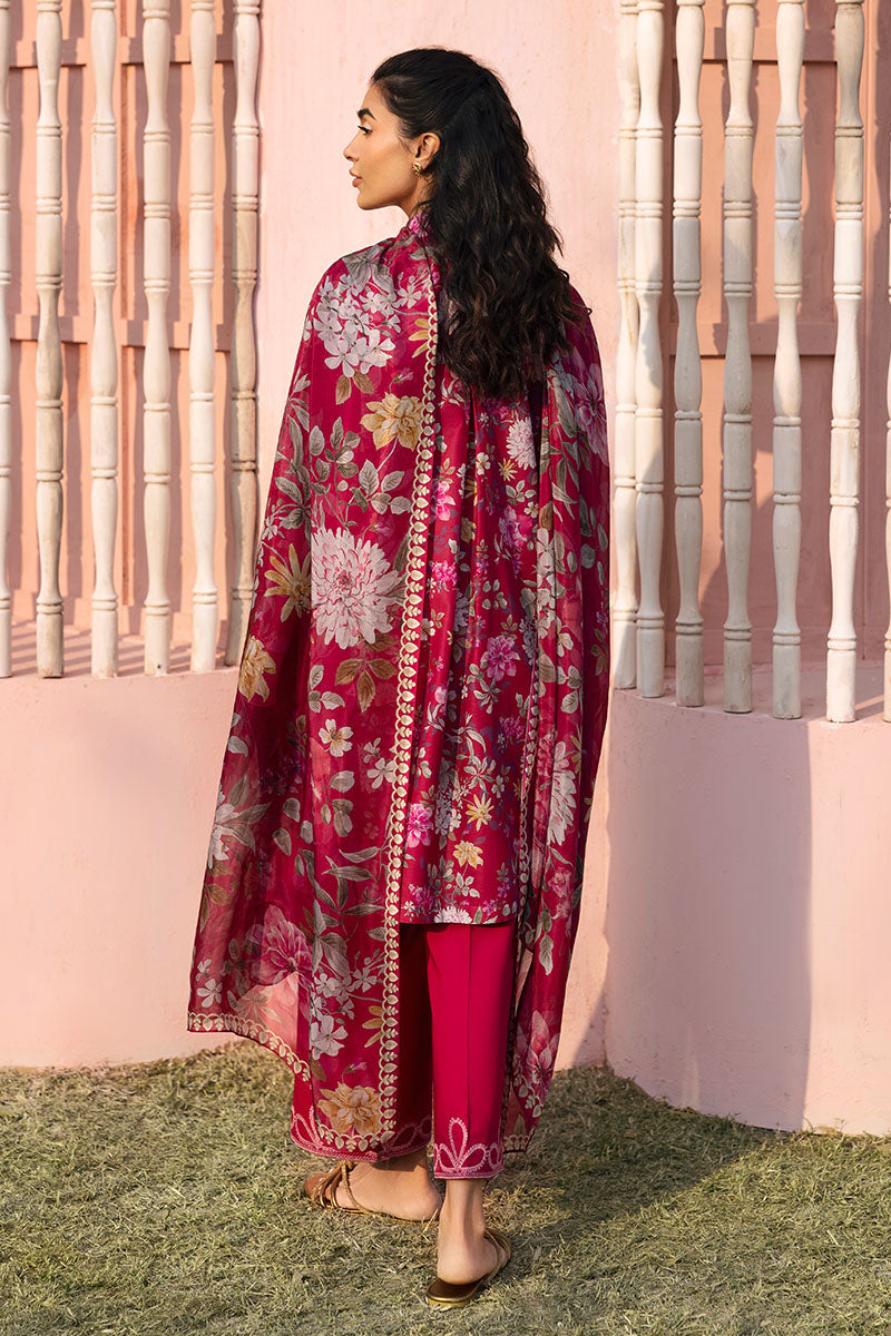 Cross Stitch | Premium Lawn 25 | WHIMSICAL ZEST - House Of Anaya