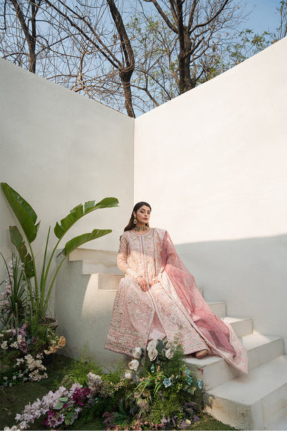 Raja Salahuddin | Love in Bloom | Rose Glow - House Of Anaya