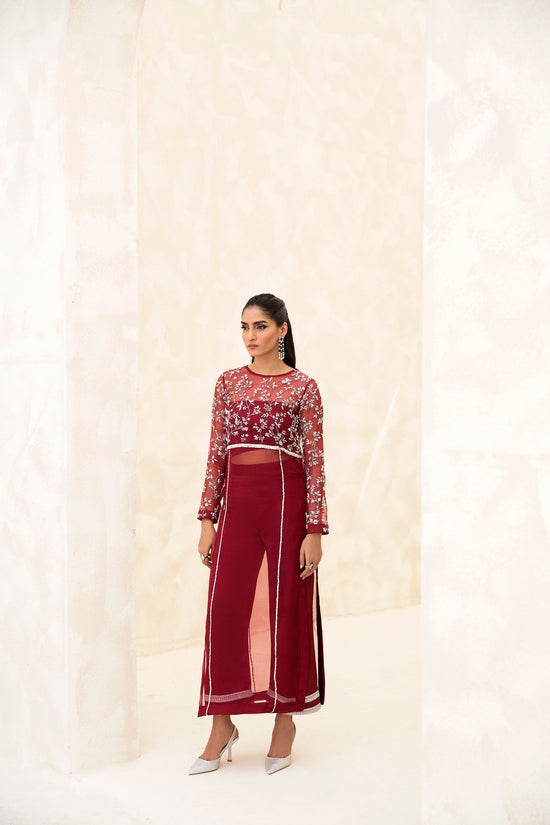 Raja Salahuddin | The Wishlist | CHERRY - House Of Anaya