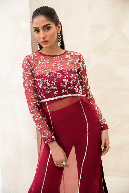 Raja Salahuddin | The Wishlist | CHERRY - House Of Anaya