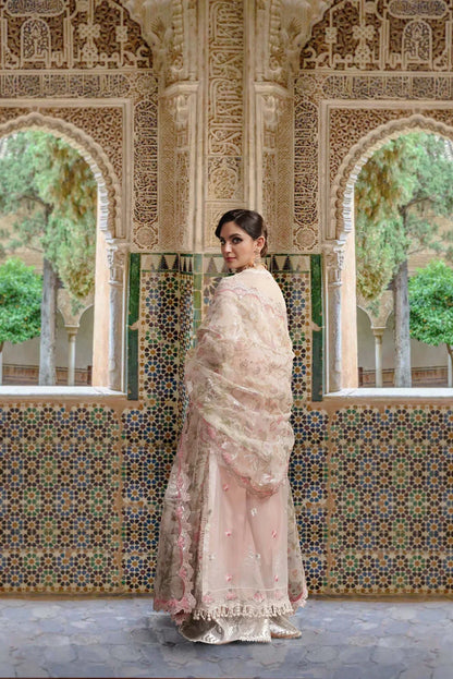 Sable Vogue | Festive Collection | FC-07 - House Of Anaya