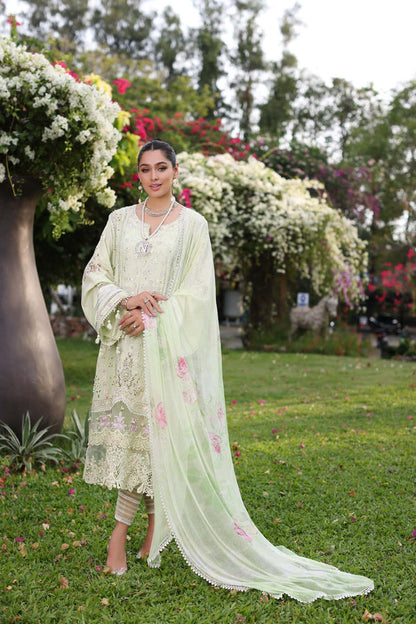 Noor by Saadia Asad | Luxury Chikankari Lawn24 | D11-B Mint Schifli - House Of Anaya