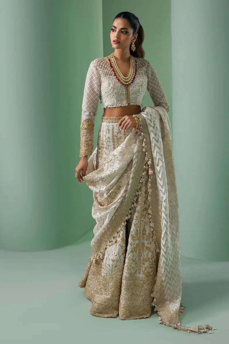 Sana Safinaz | Nura Festive 2023 | N233-003A-CL - House Of Anaya