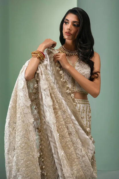 Sana Safinaz | Nura Festive 2023 | N233-003A-CL - House Of Anaya