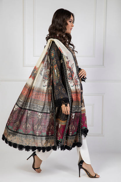 Shamaeel Ansari | Lawn 24 | LV113 - House Of Anaya