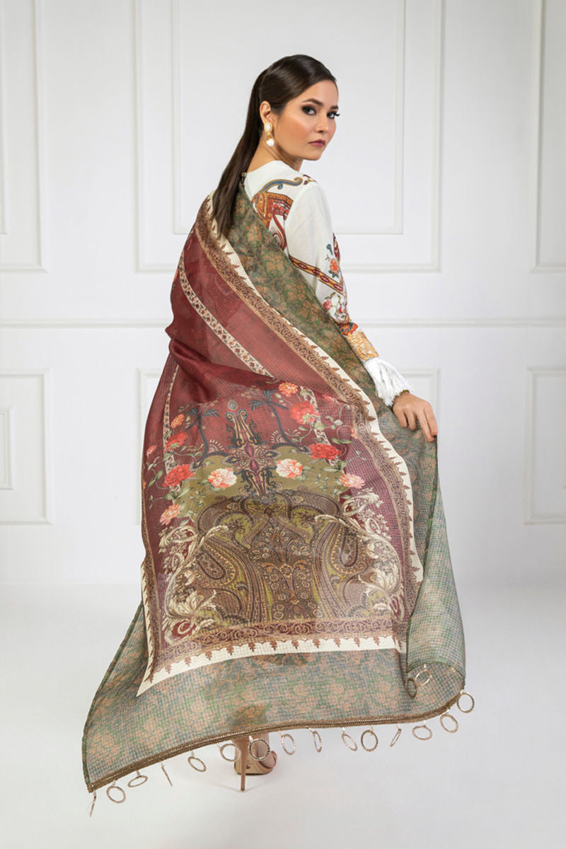 Shamaeel Ansari | Lawn 24 | LV11 - House Of Anaya